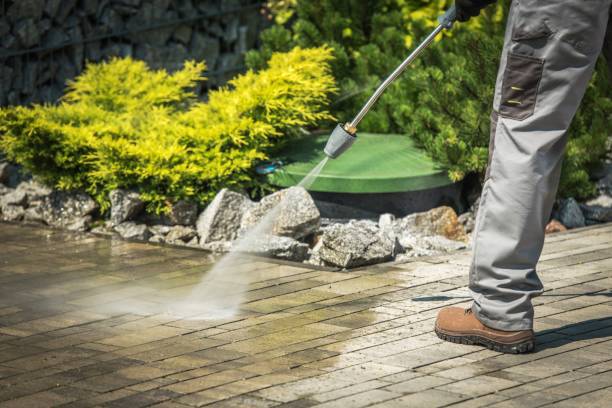 Professional  Pressure Washing Services in Woodside East, DE