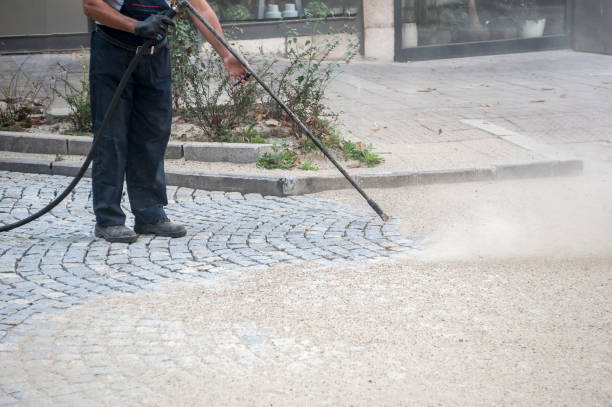 Best Driveway Pressure Washing  in Woodsi East, DE